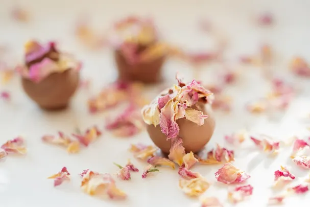 Casino Paradise Win Android/iOS App